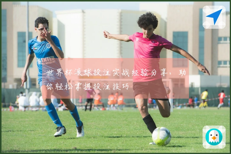 世界杯滚球投注实战经验分享，助你轻松掌握投注技巧