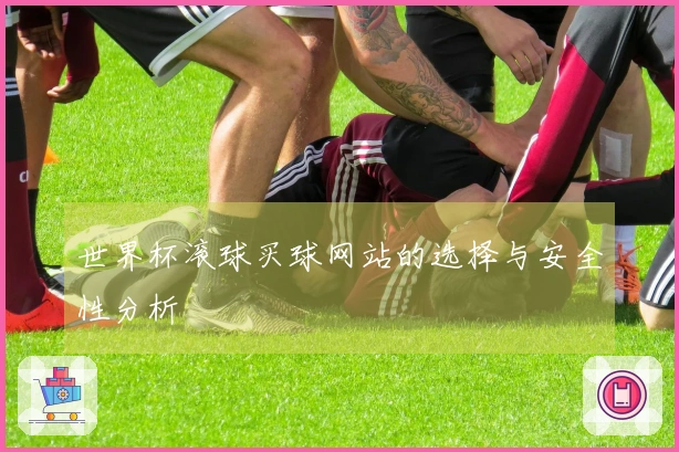 世界杯滚球买球网站的选择与安全性分析