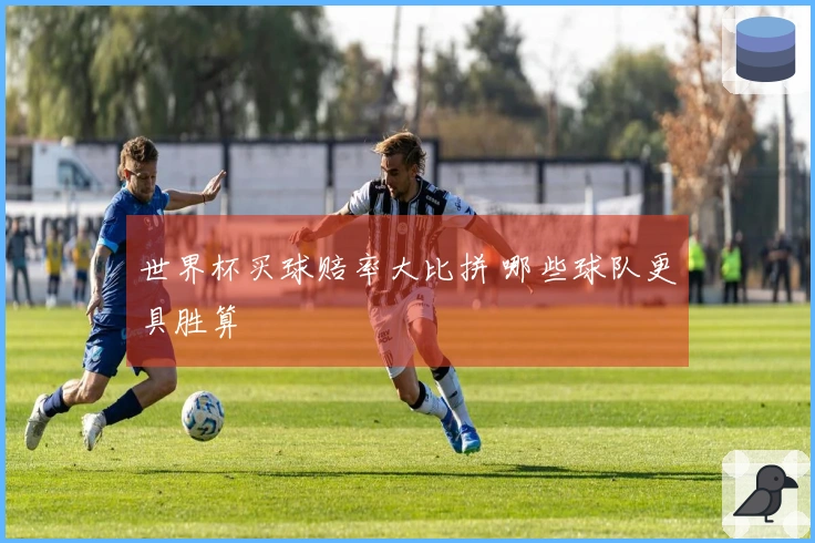 世界杯买球赔率大比拼 哪些球队更具胜算