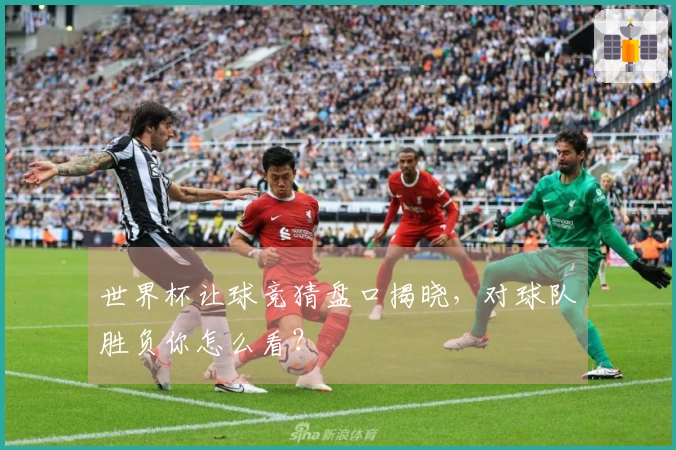 世界杯让球竞猜盘口揭晓，对球队胜负你怎么看？