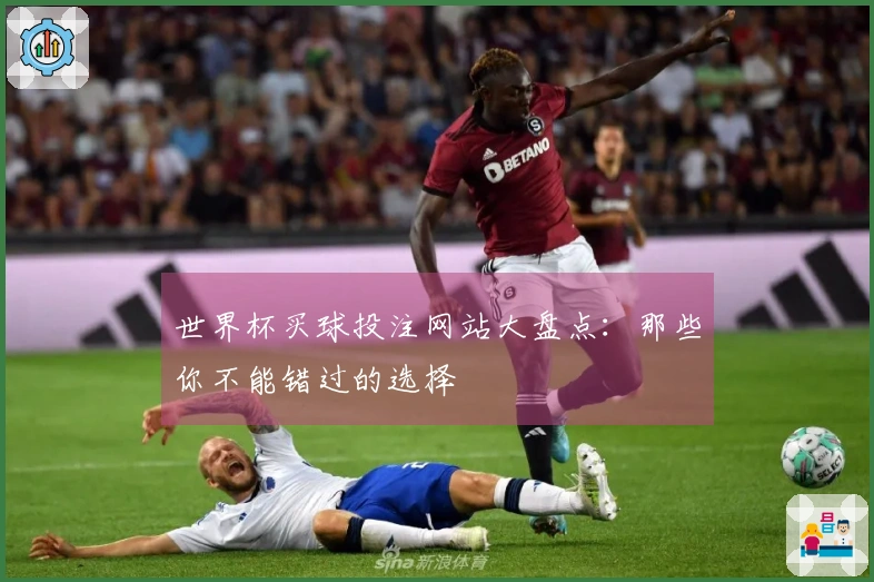 世界杯买球投注网站大盘点：那些你不能错过的选择