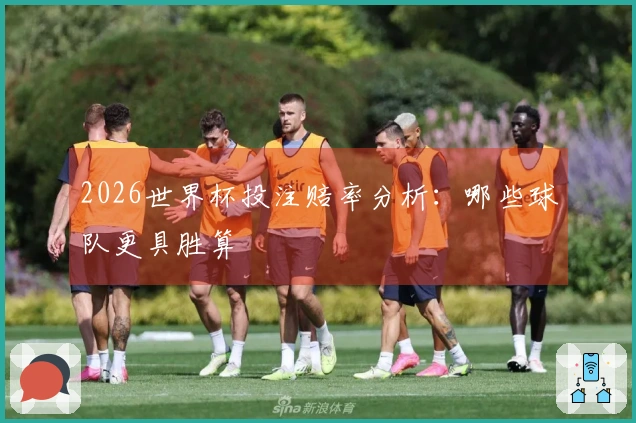 2026世界杯投注赔率分析：哪些球队更具胜算