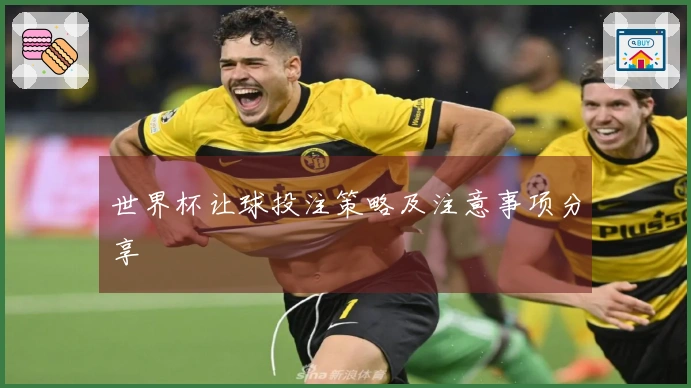 世界杯让球投注策略及注意事项分享